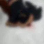 Assassinato em Rio das Ostras: Empresário é morto a tiros dentro de barbearia.